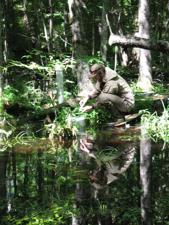 "Photo taken of NMU-ABL director collecting gas headspace samples from a static chamber in a black ash wetland.