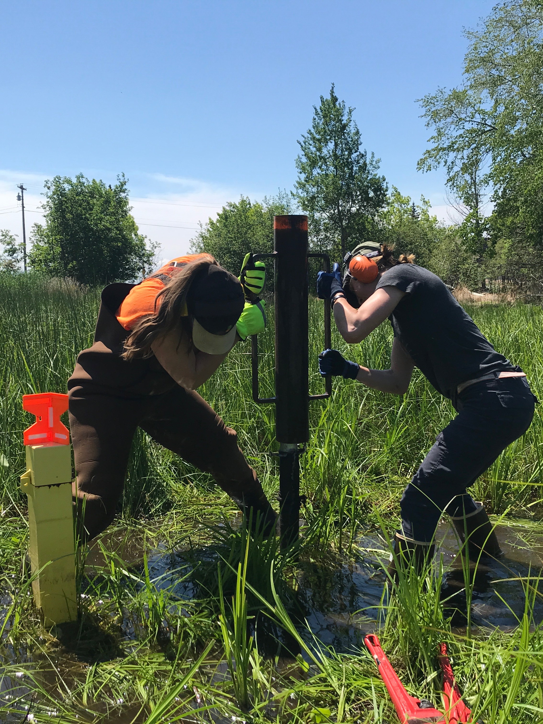 "Photo taken of two NMU-ABL student research technicians using a fence post driver to install a sand-point groundwater monitoring well into a City of Marquette mitigation wetland.