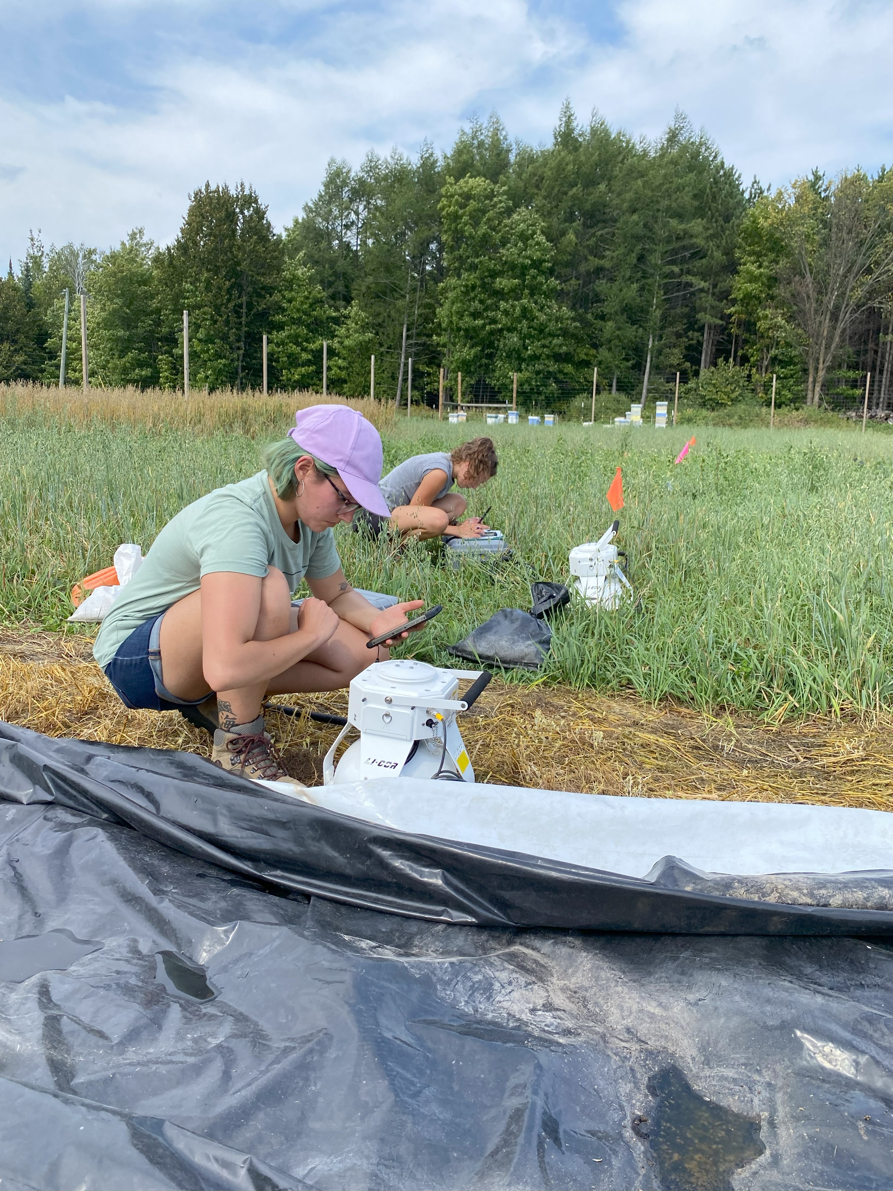 "Photo taken of two NMU-ABL student research technicians collecting greenhouse gas emission measurements in an experimental cover crop termination study plot at MSU-UPREC.